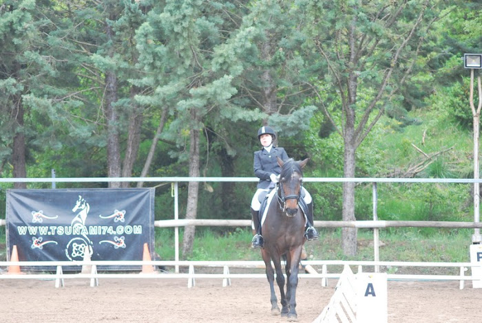 Resultados Fase 5 del Campeonato Navarro de Doma Cl&aacute;sica, Doma Adaptada y JJDD 2018 en Labiano